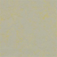 3733 Yellow Shimmer Concrete
